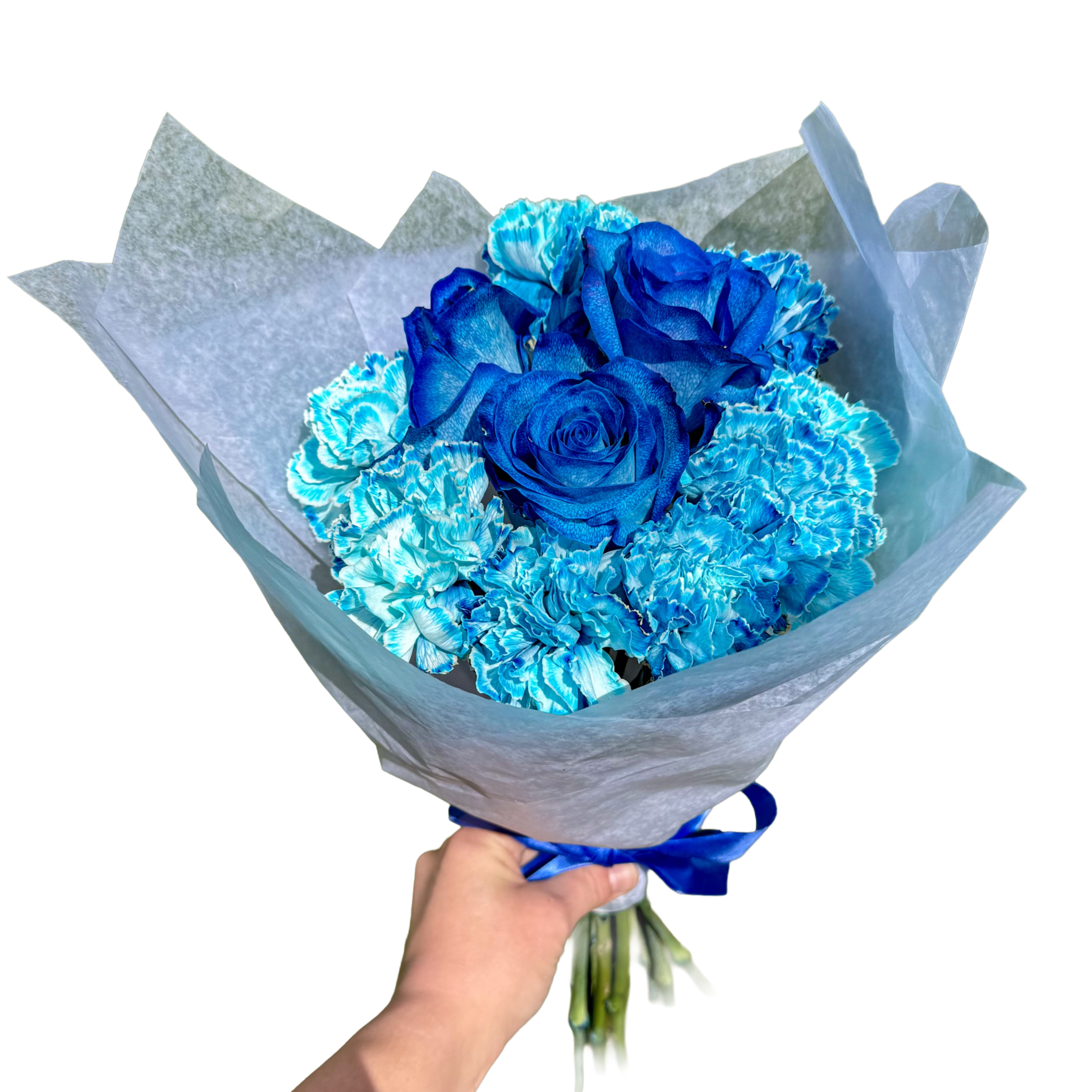 Bouquet of blue roses and blue carnations held by a hand against a white background