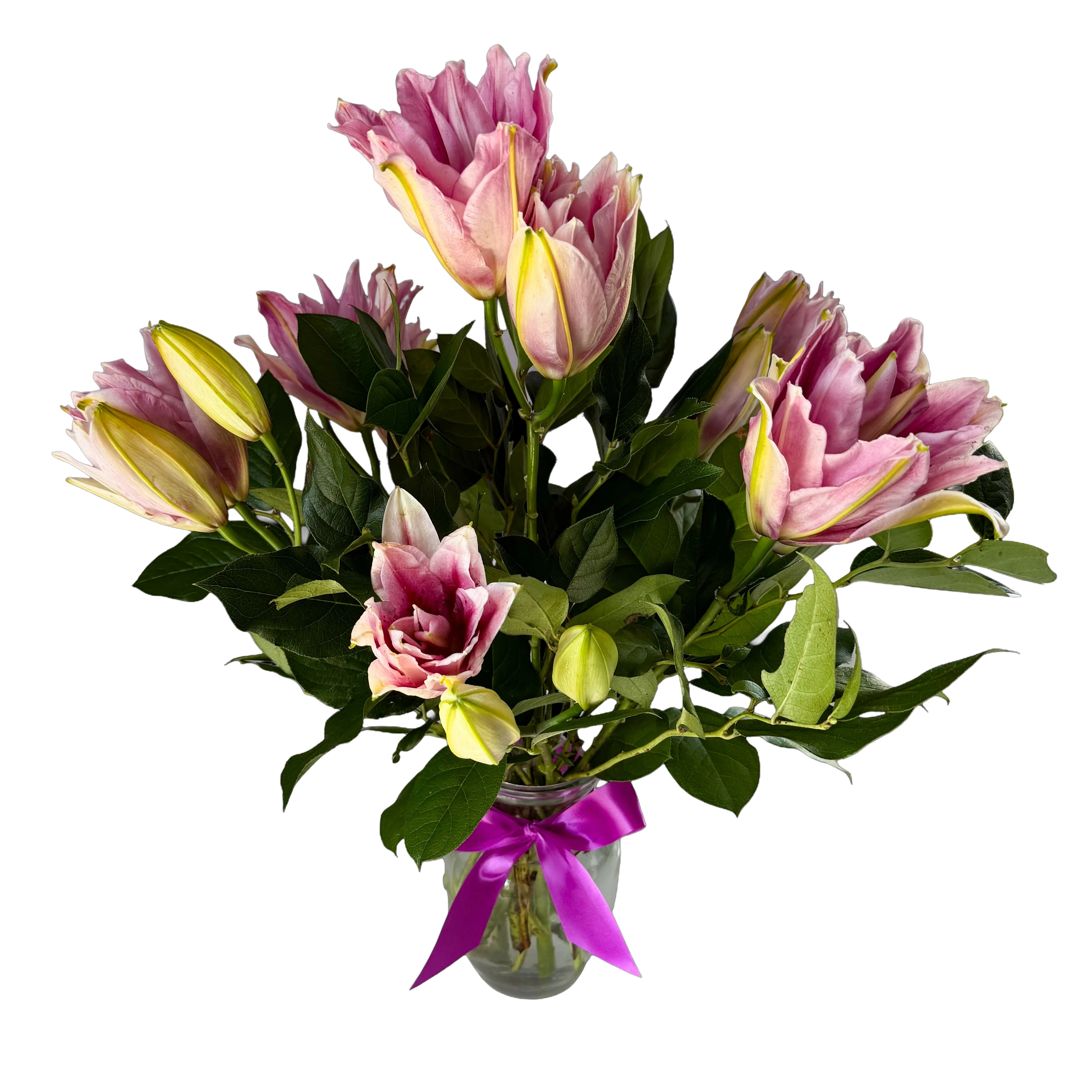 Soft Pink Lilies