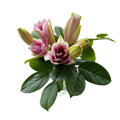 Soft Pink Lily Jar